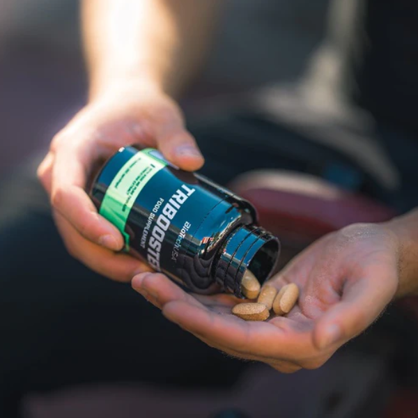 Tribooster 60 tabs. Biotech USA Biotech USA
